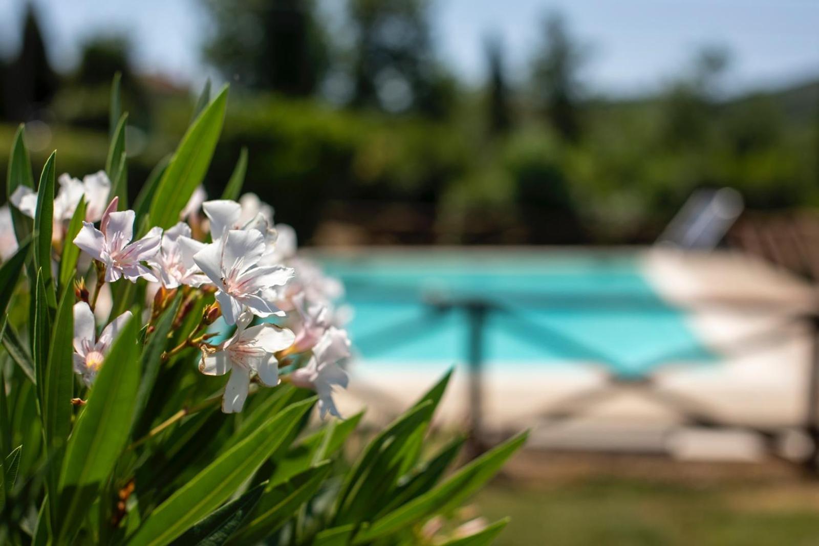 Agriturismo Podere Acqualoreto Exterior foto